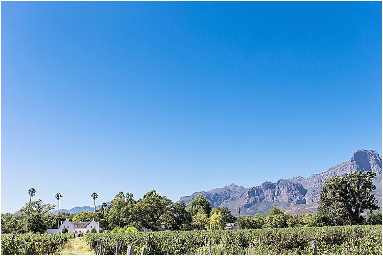 Gareth & Lorezel Wedding at Alle Bleue in Franschhoek